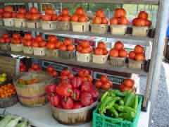veggies.JPG